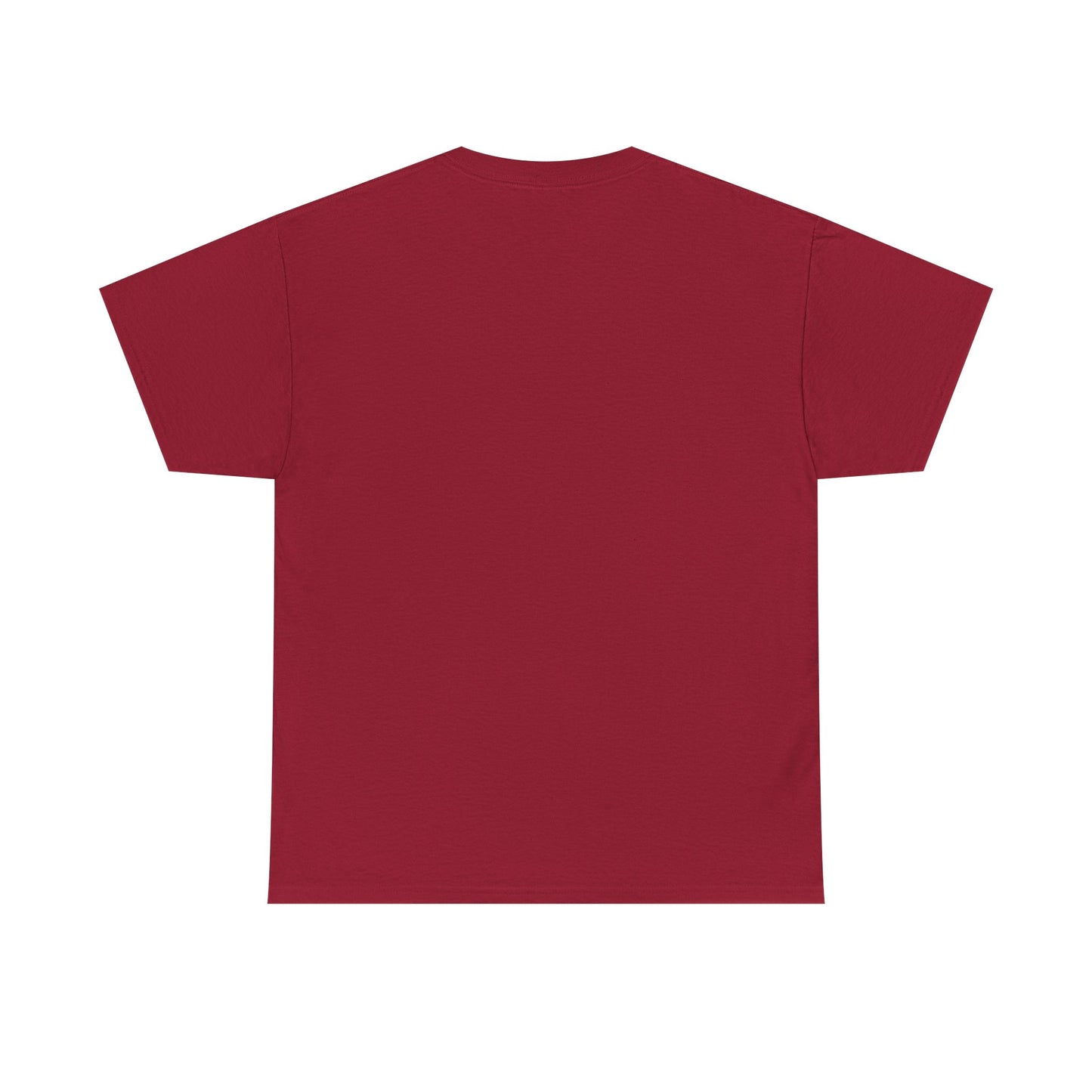 Paranormal Investigator Tee