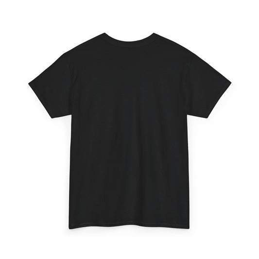 Haunted Fairbanks House Shirt