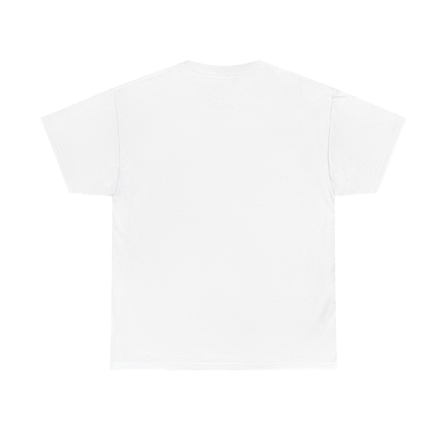 This is my Ghost Hunting Shirt Tee