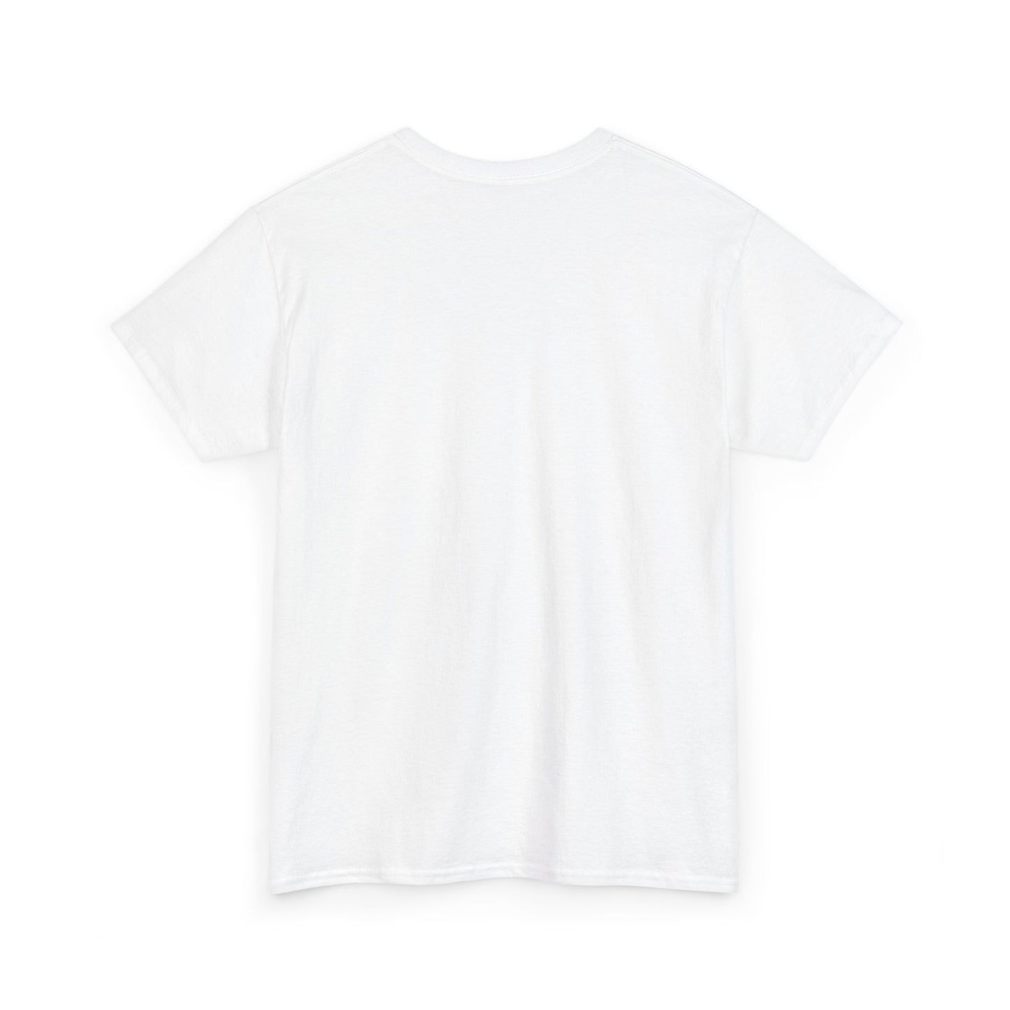 This is my Ghost Hunting Shirt Tee