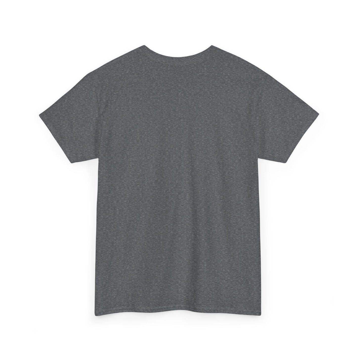 Paranormal Investigator Tee