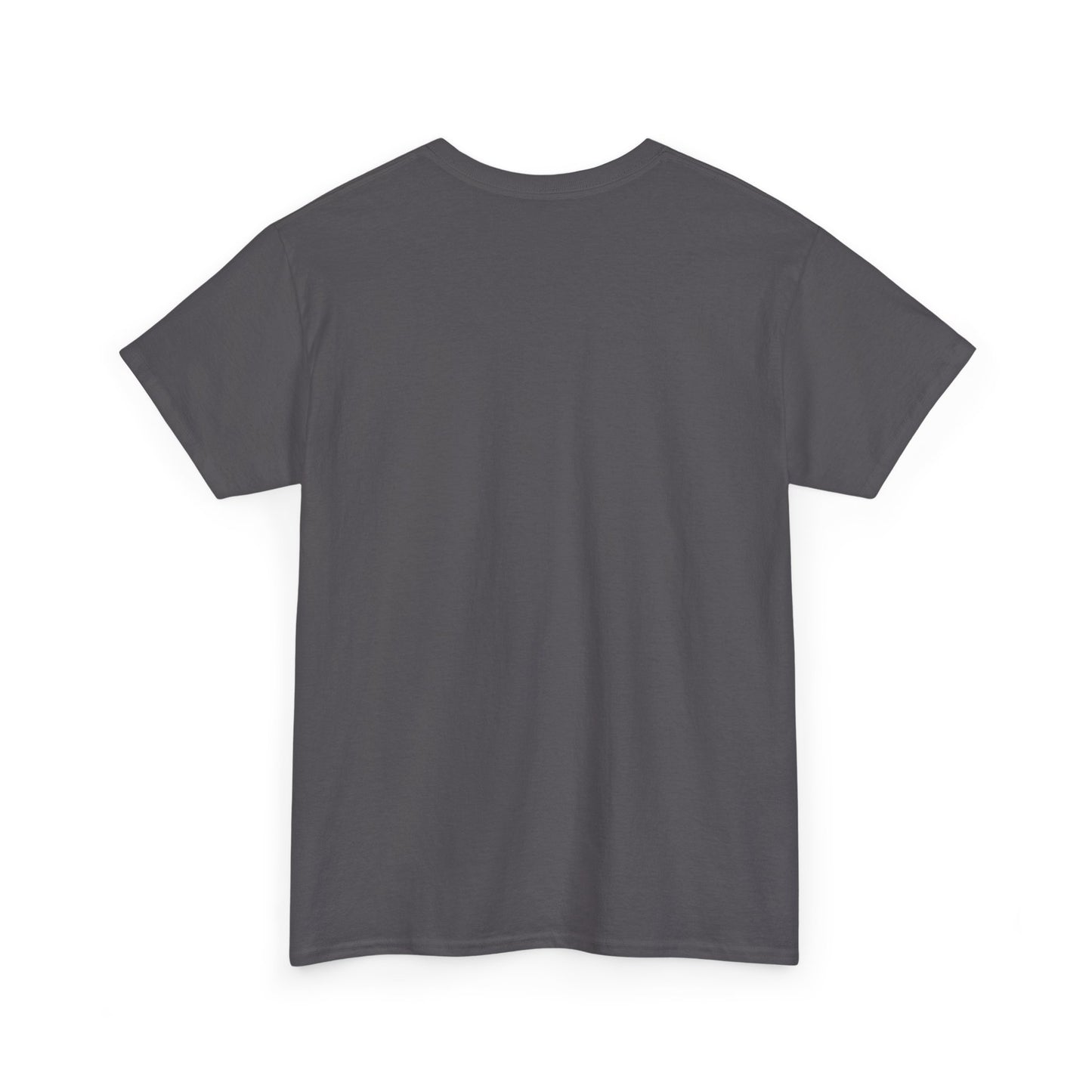 Paranormal Investigator Tee